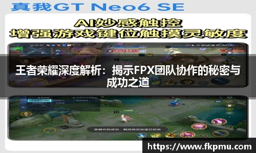 王者荣耀深度解析：揭示FPX团队协作的秘密与成功之道